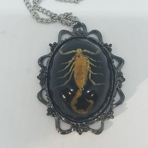 GASOLINE GLAMOUR Jewelry - Black scorpion necklace new π¦π¦π¦π¦ GASOLINE GLAMOUR Jewelry - Black scorpion necklace new π¦π¦π¦π¦